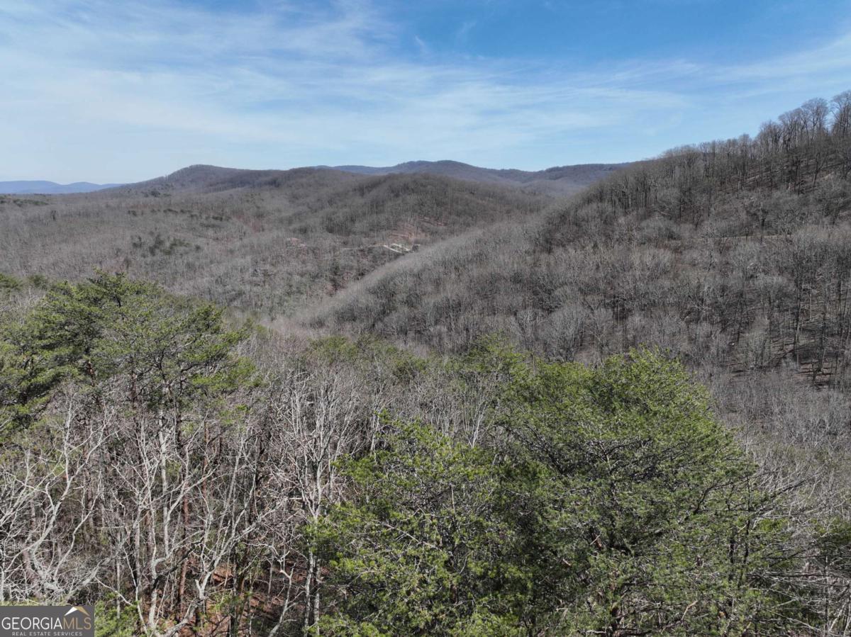 200 Stone Cliff Drive Property Photo 7