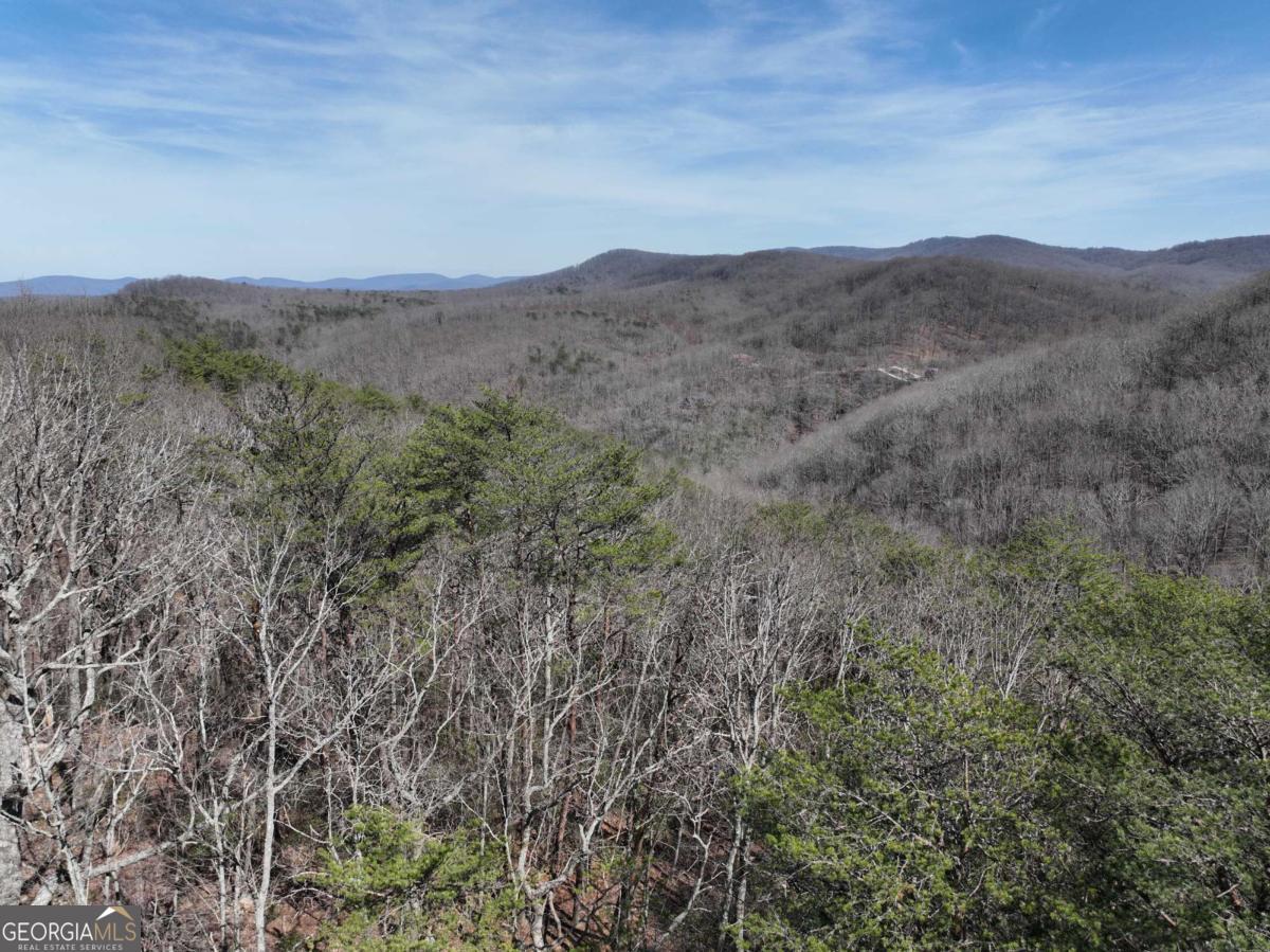 200 Stone Cliff Drive Property Photo 8