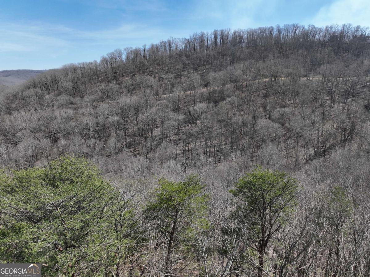 200 Stone Cliff Drive Property Photo 10