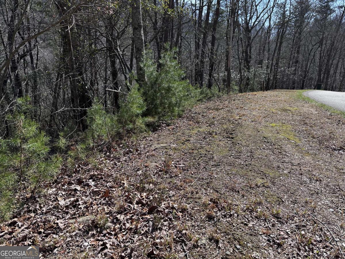 200 Stone Cliff Drive Property Photo 11