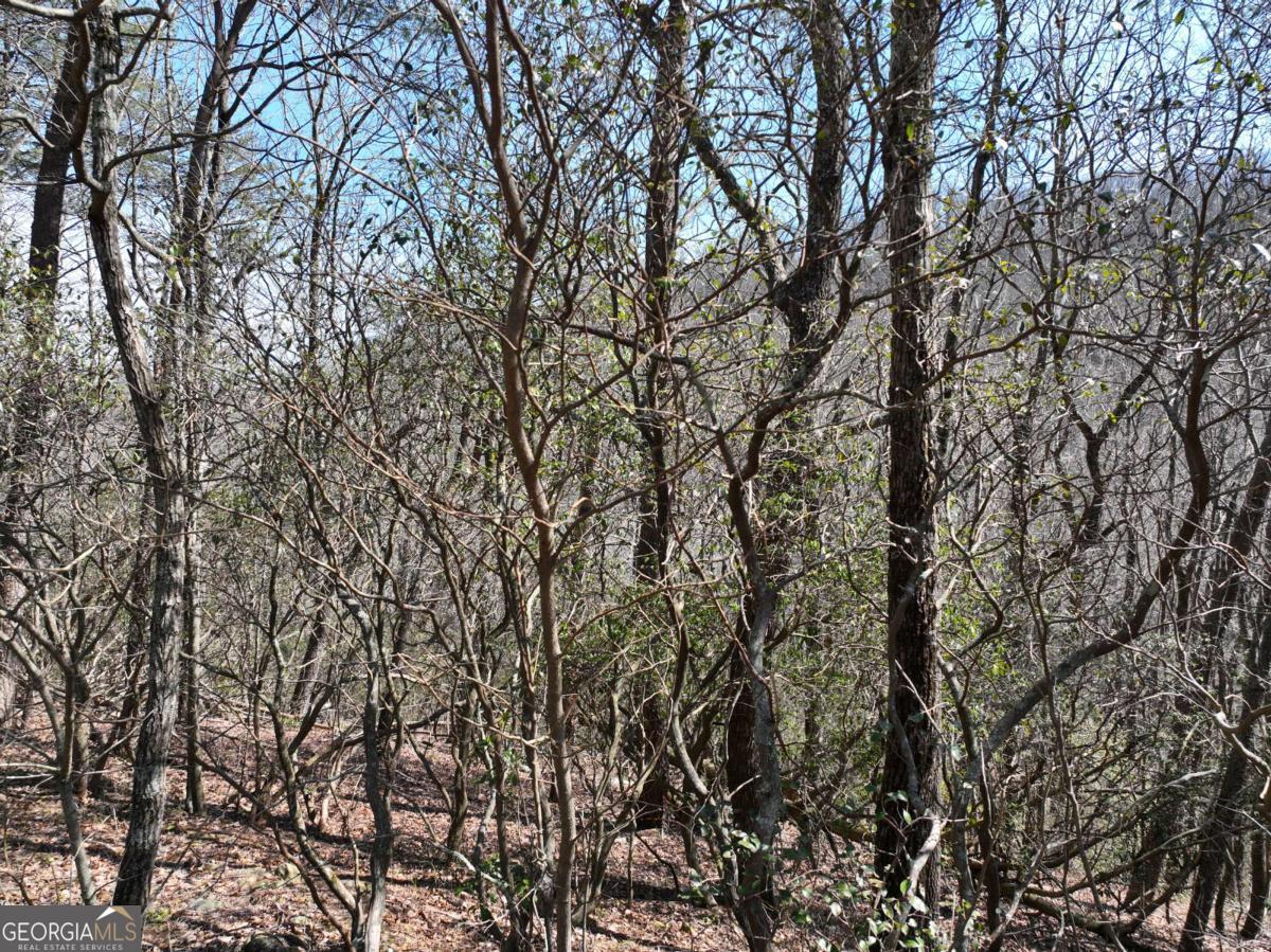 200 Stone Cliff Drive Property Photo 12