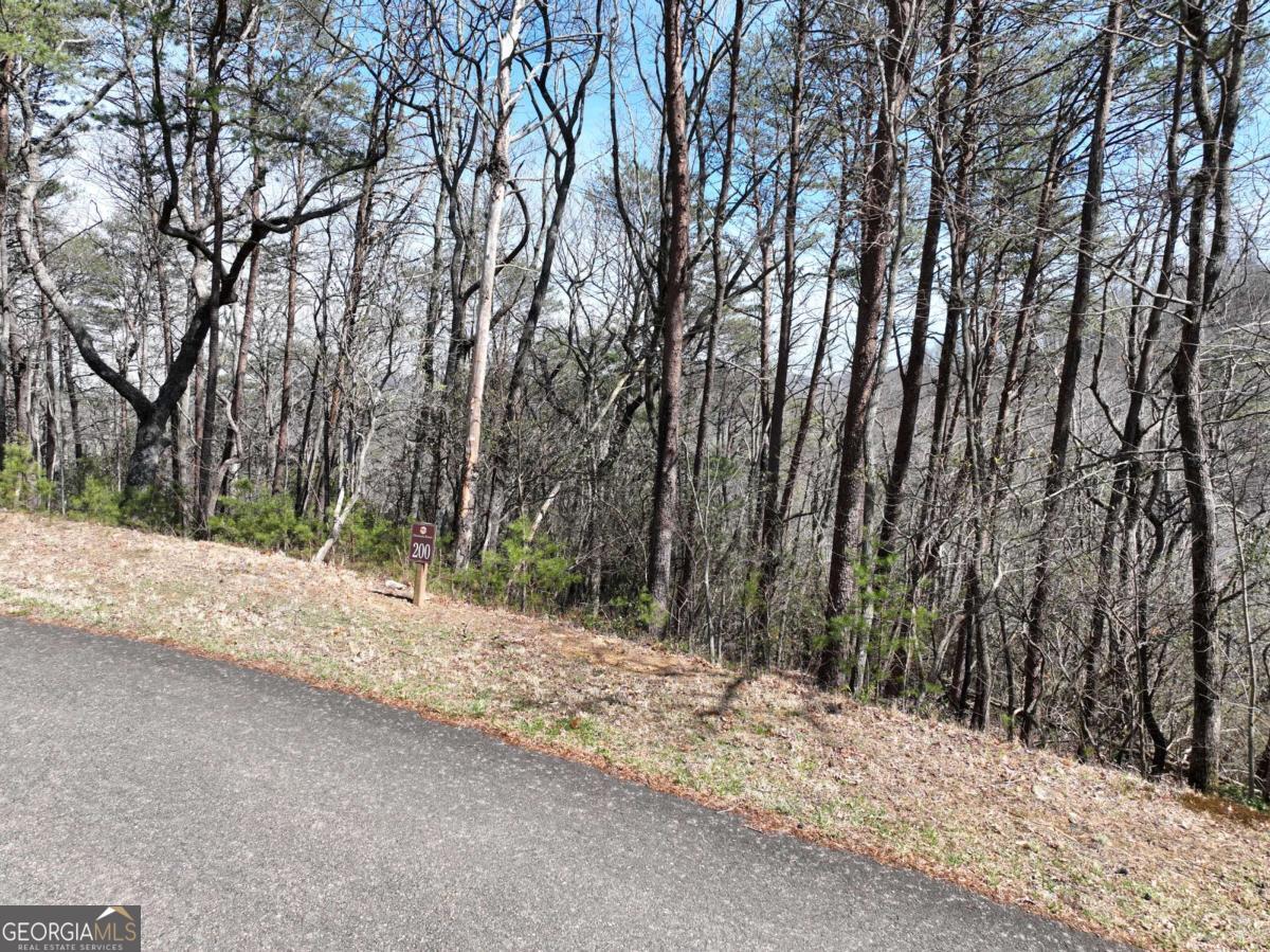 200 Stone Cliff Drive Property Photo 13