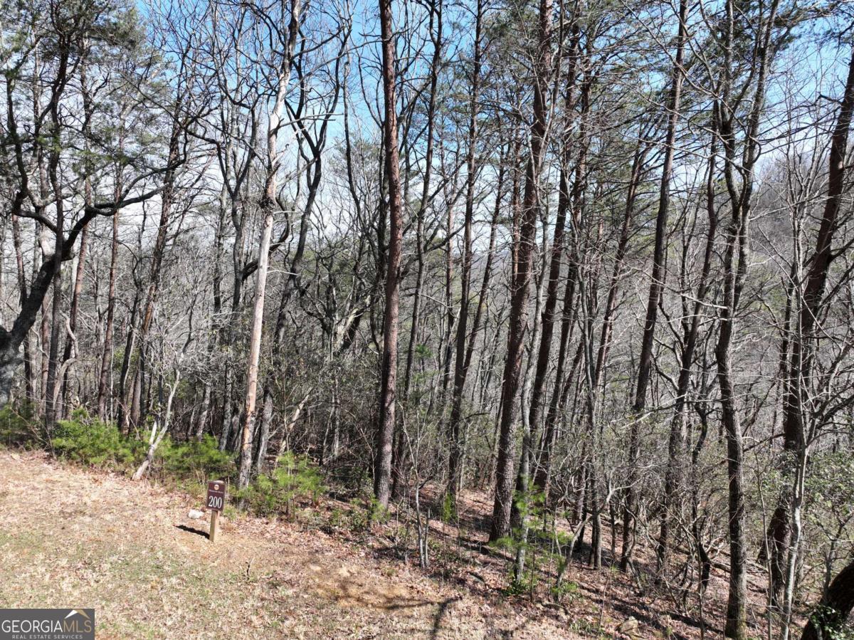 200 Stone Cliff Drive Property Photo 14