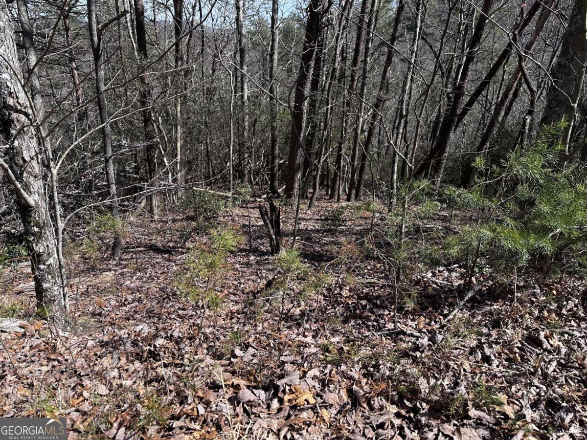 200 Stone Cliff Drive Property Photo 15