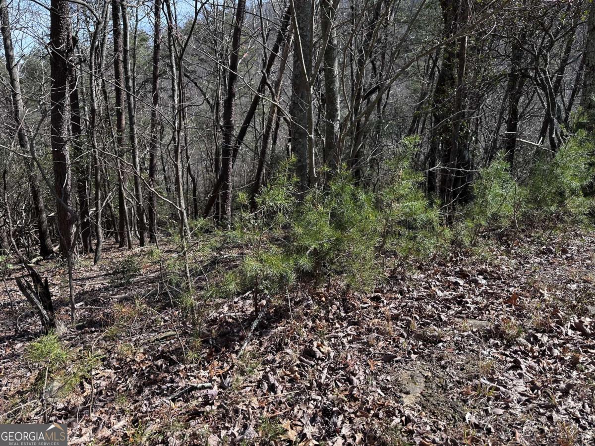 200 Stone Cliff Drive Property Photo 16