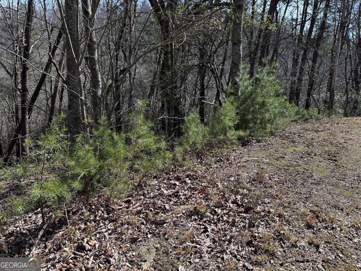 200 Stone Cliff Drive Property Photo 17
