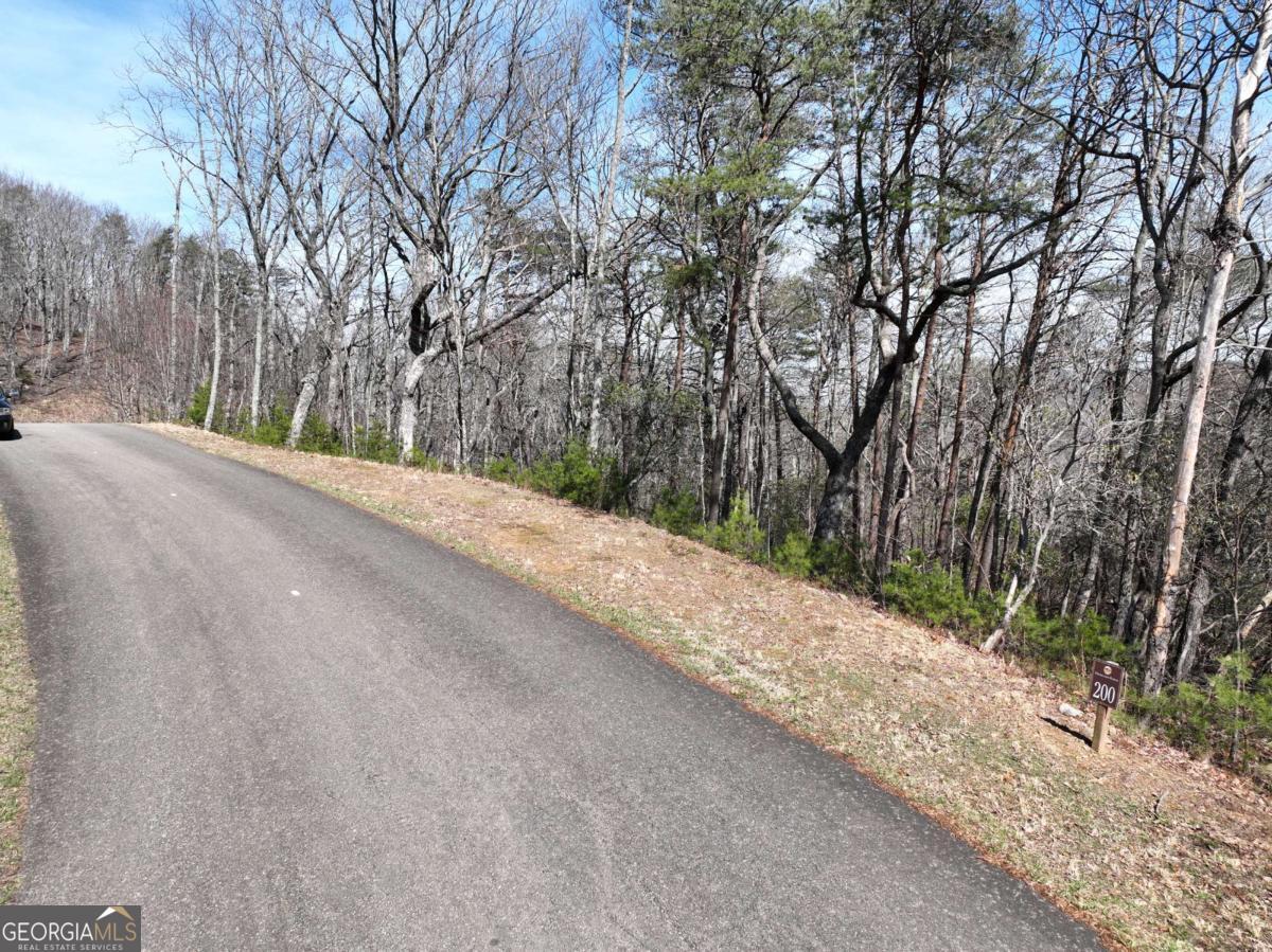 200 Stone Cliff Drive Property Photo 18