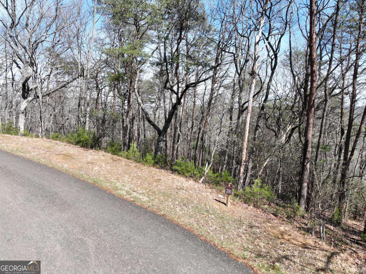 200 Stone Cliff Drive Property Photo 19