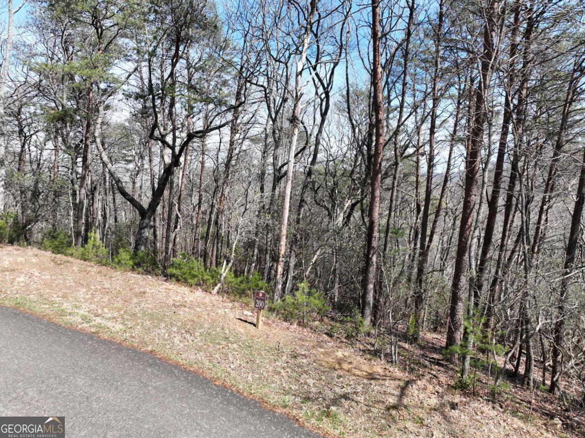 200 Stone Cliff Drive Property Photo 20