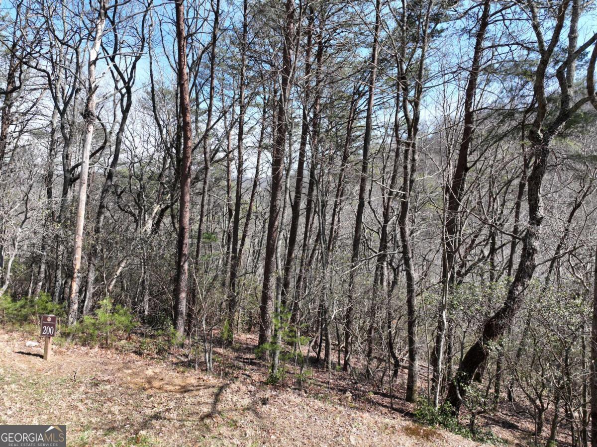200 Stone Cliff Drive Property Photo 21
