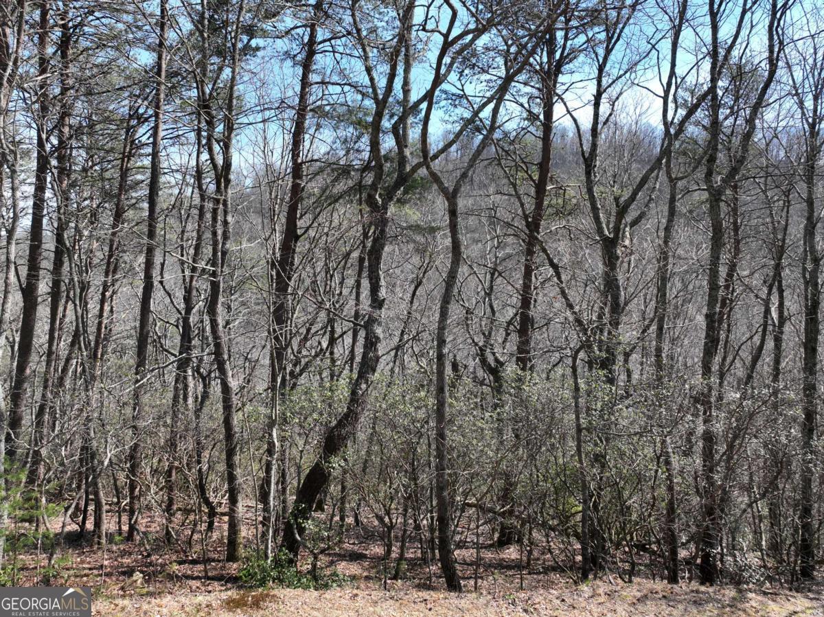 200 Stone Cliff Drive Property Photo 22
