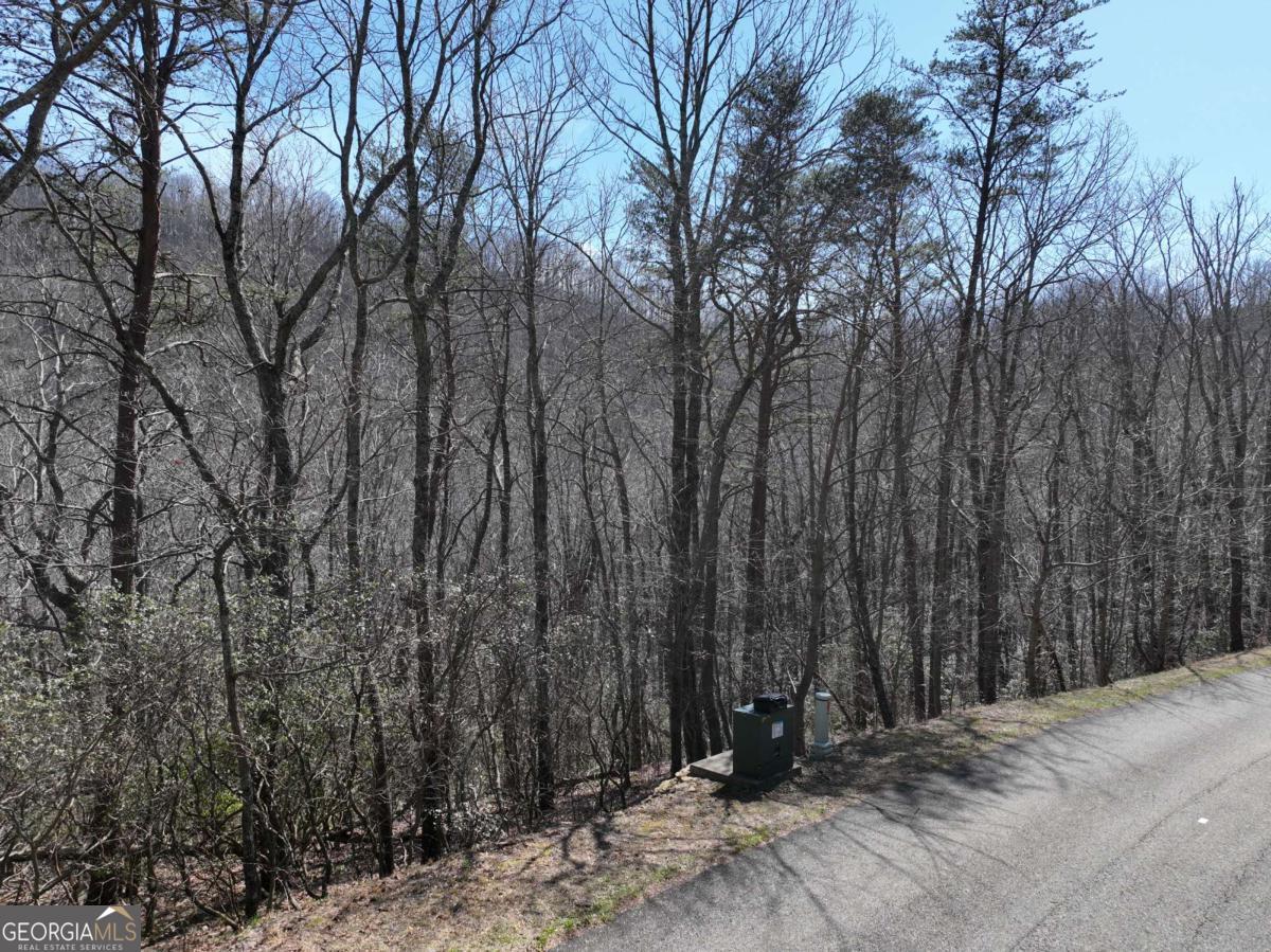 200 Stone Cliff Drive Property Photo 23