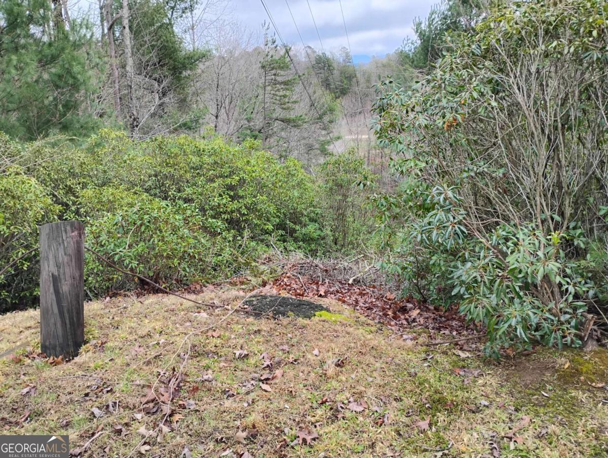 Lt 166 Shenendoa Drive # 166 Property Photo 2