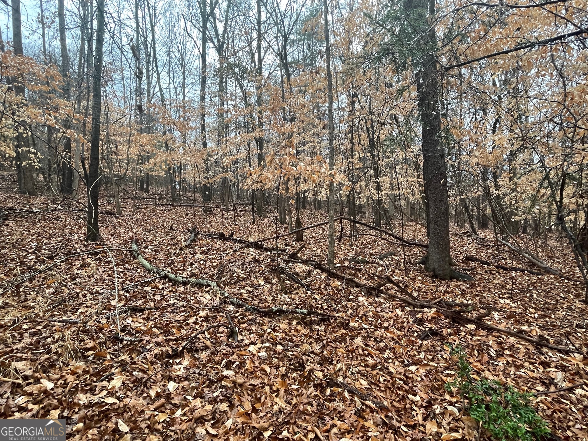 Lot 942 Birdie Court Property Photo 2