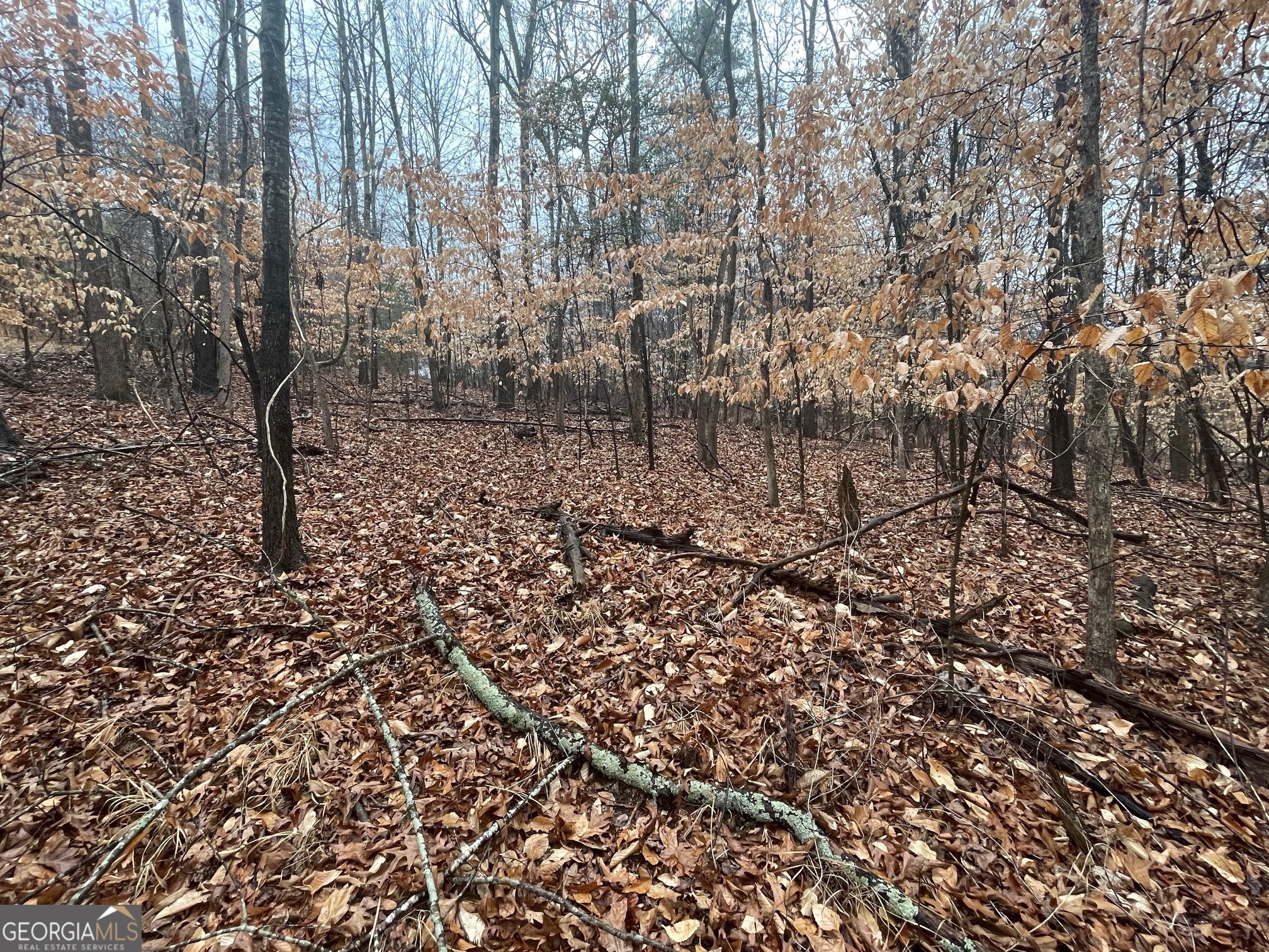 Lot 942 Birdie Court Property Photo 4