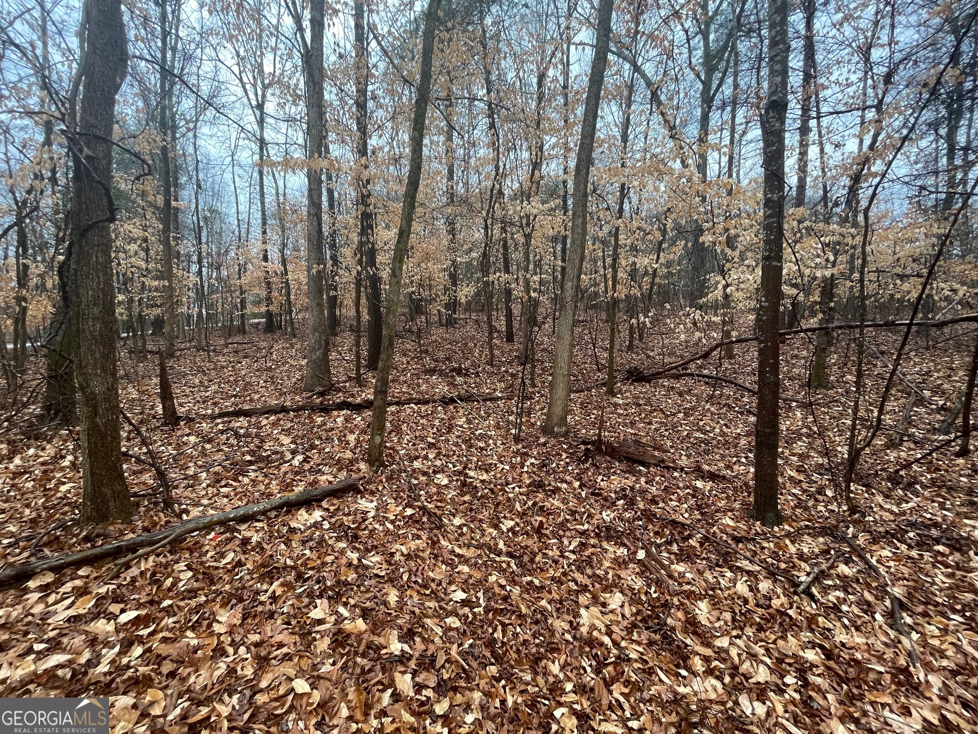 Lot 942 Birdie Court Property Photo 5