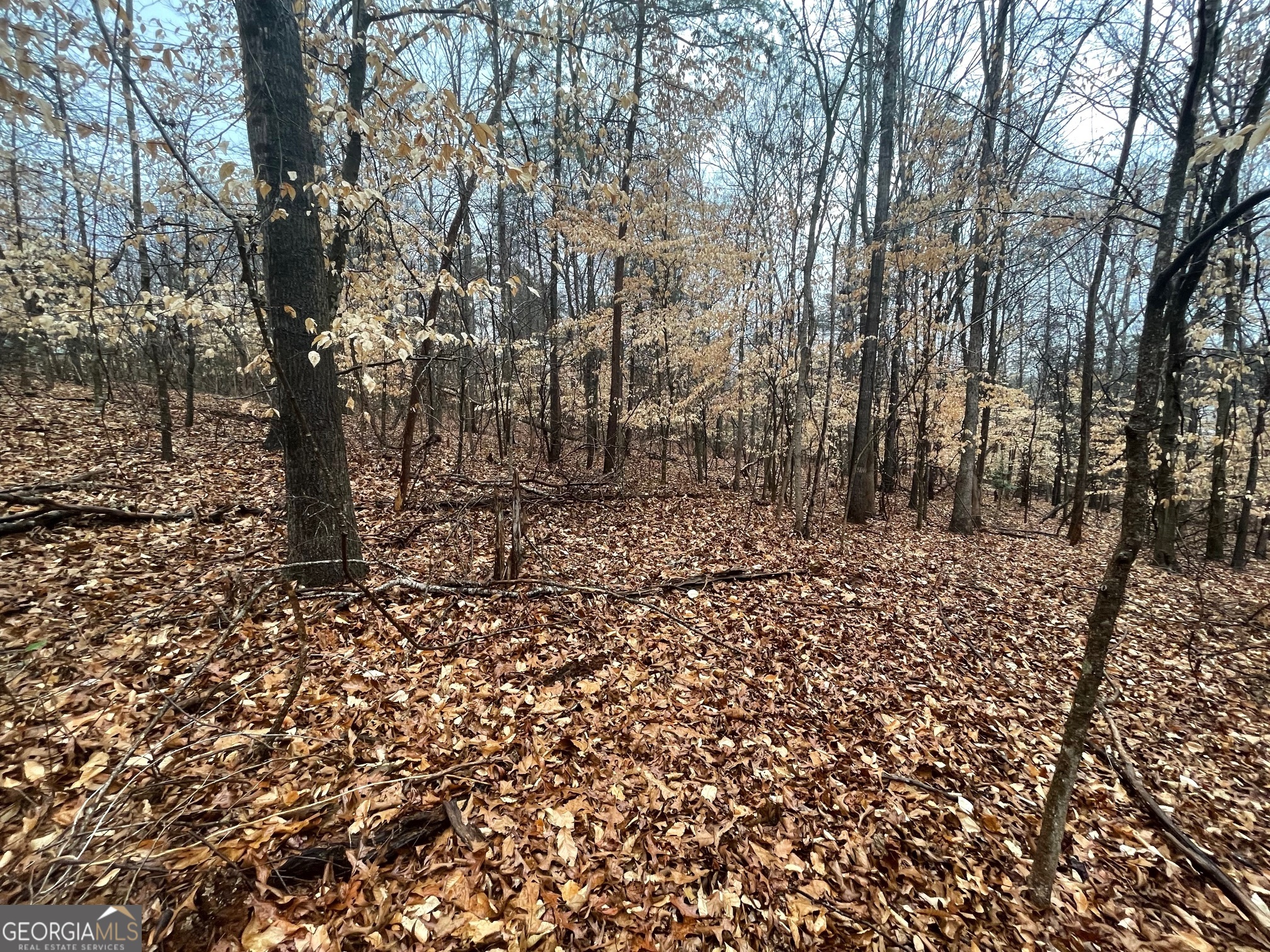 Lot 942 Birdie Court Property Photo 6