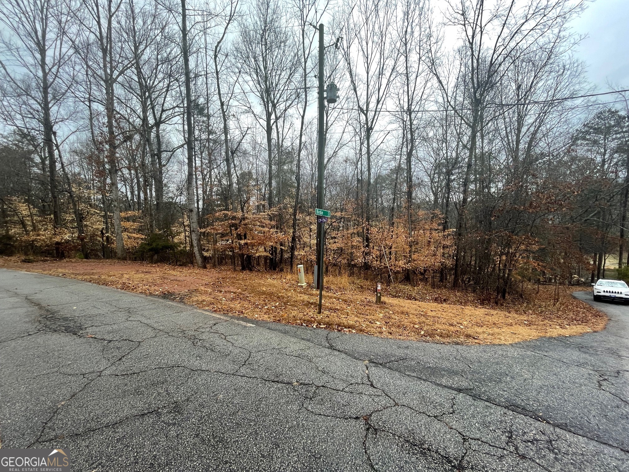 Lot 942 Birdie Court Property Photo 7