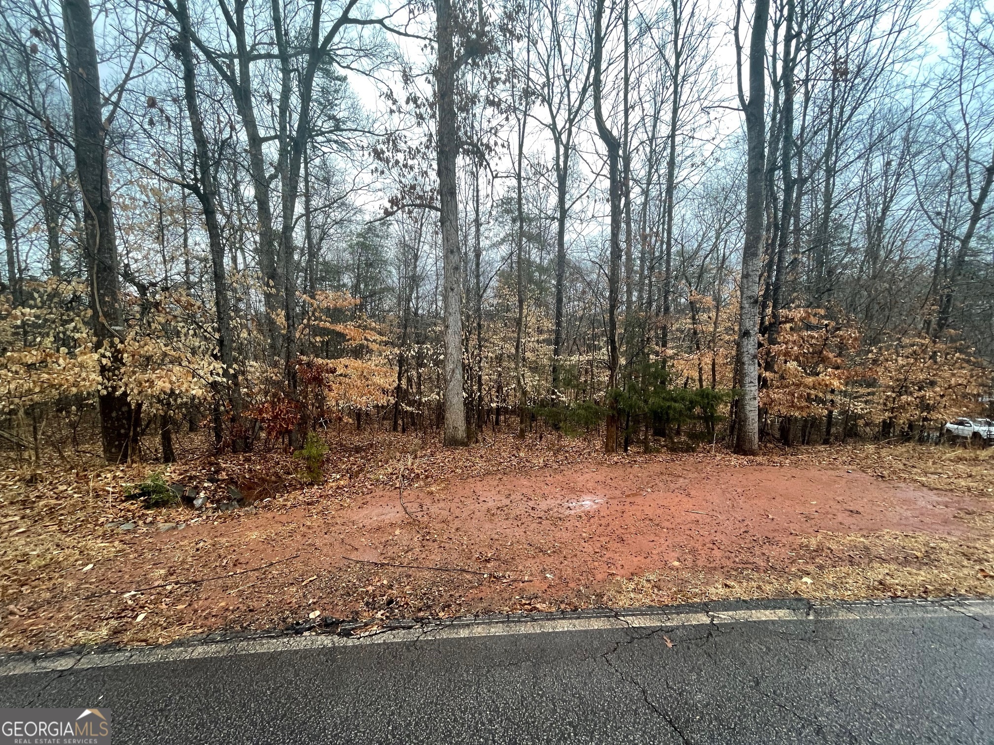 Lot 942 Birdie Court Property Photo 8