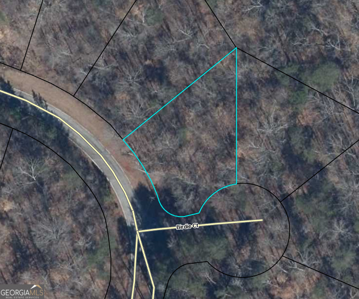 Lot 942 Birdie Court Property Photo 9