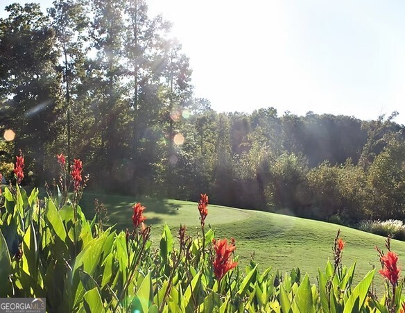 Lot 942 Birdie Court Property Photo 17