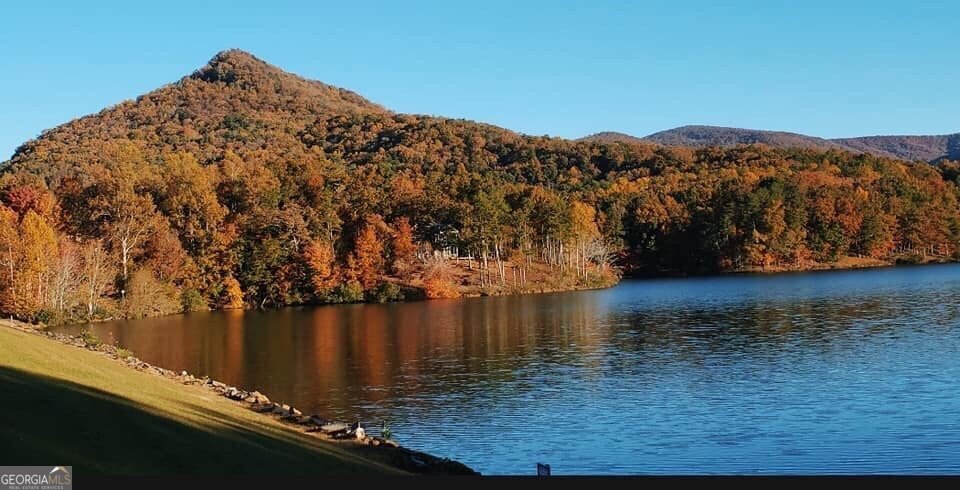 0 Shadowick Mountain Road Property Photo 2