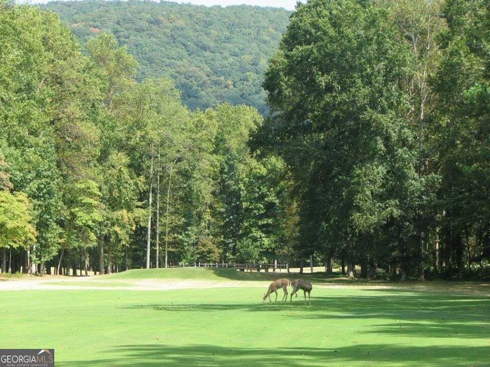 0 Shadowick Mountain Road Property Photo 7