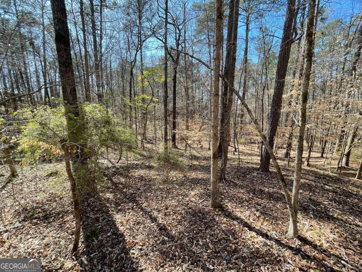Lot 62 Warbler Lane Property Photo 1