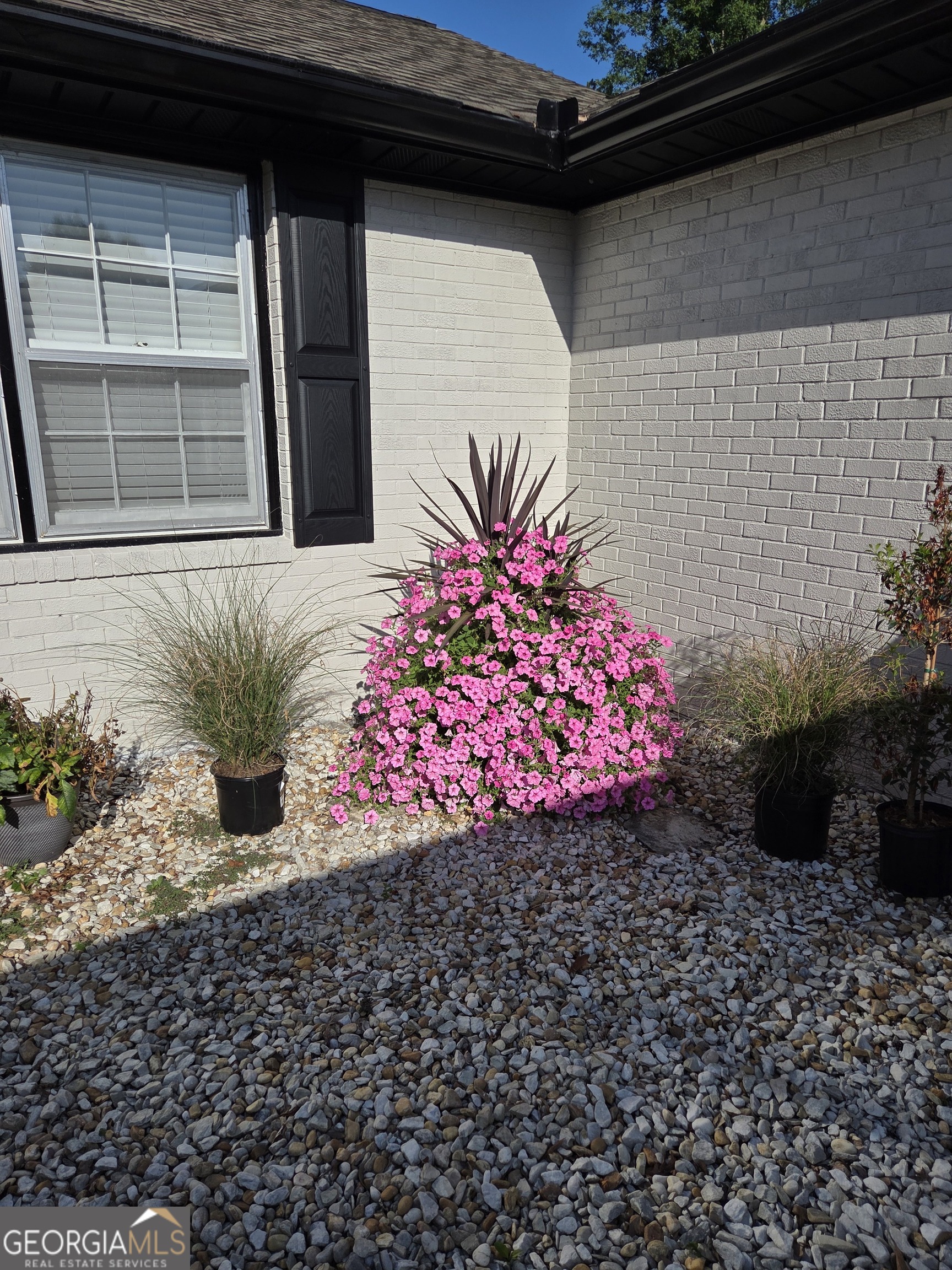 1012 Highway 332 Property Photo 4