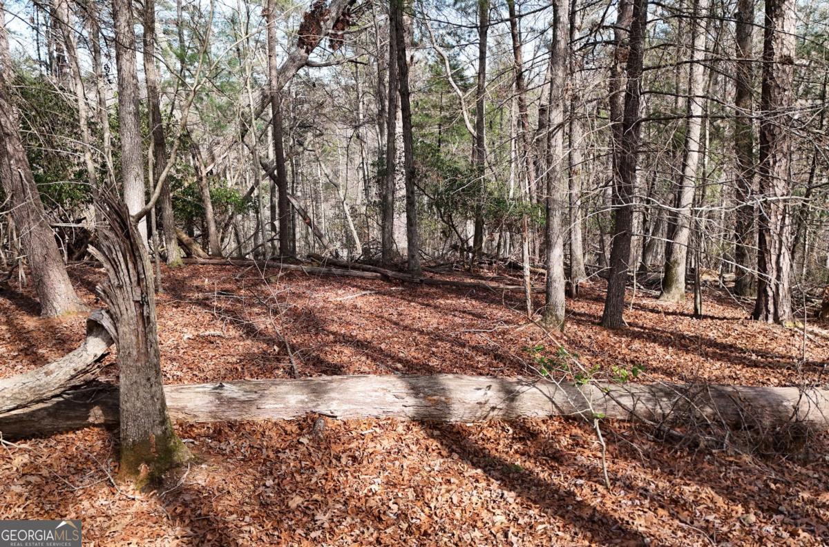 Lot #8 Casa Rio Drive # 8 Property Photo 12