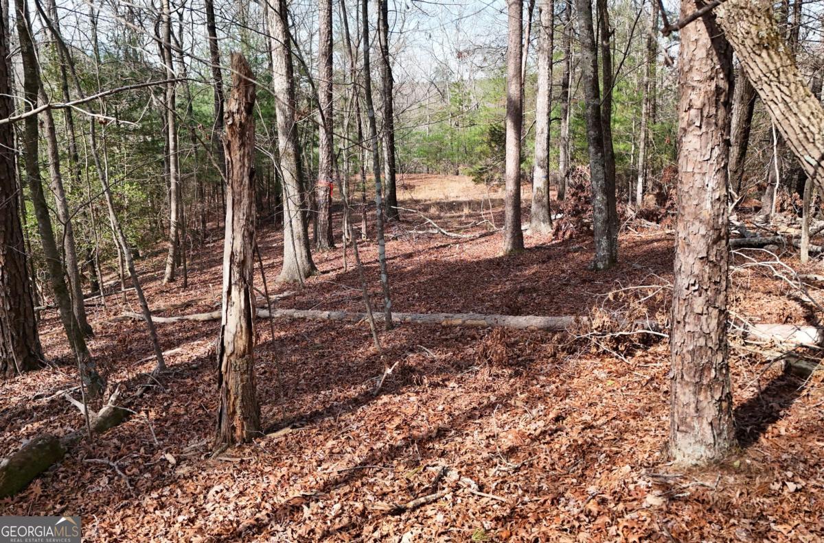 Lot #8 Casa Rio Drive # 8 Property Photo 13