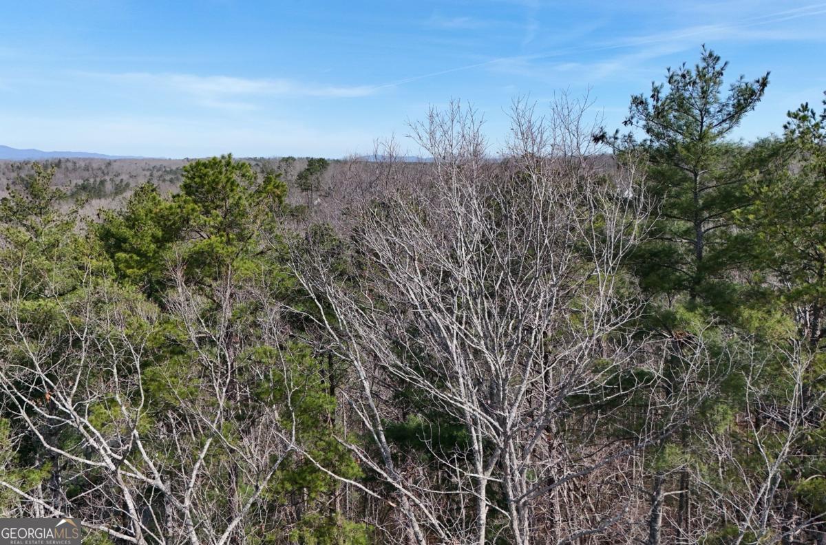 Lot #8 Casa Rio Drive # 8 Property Photo 19
