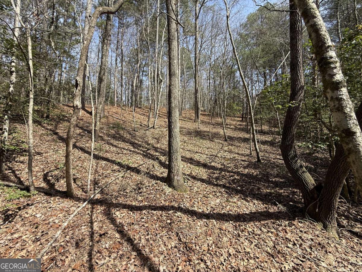 0 Bayou Drive Property Photo 5