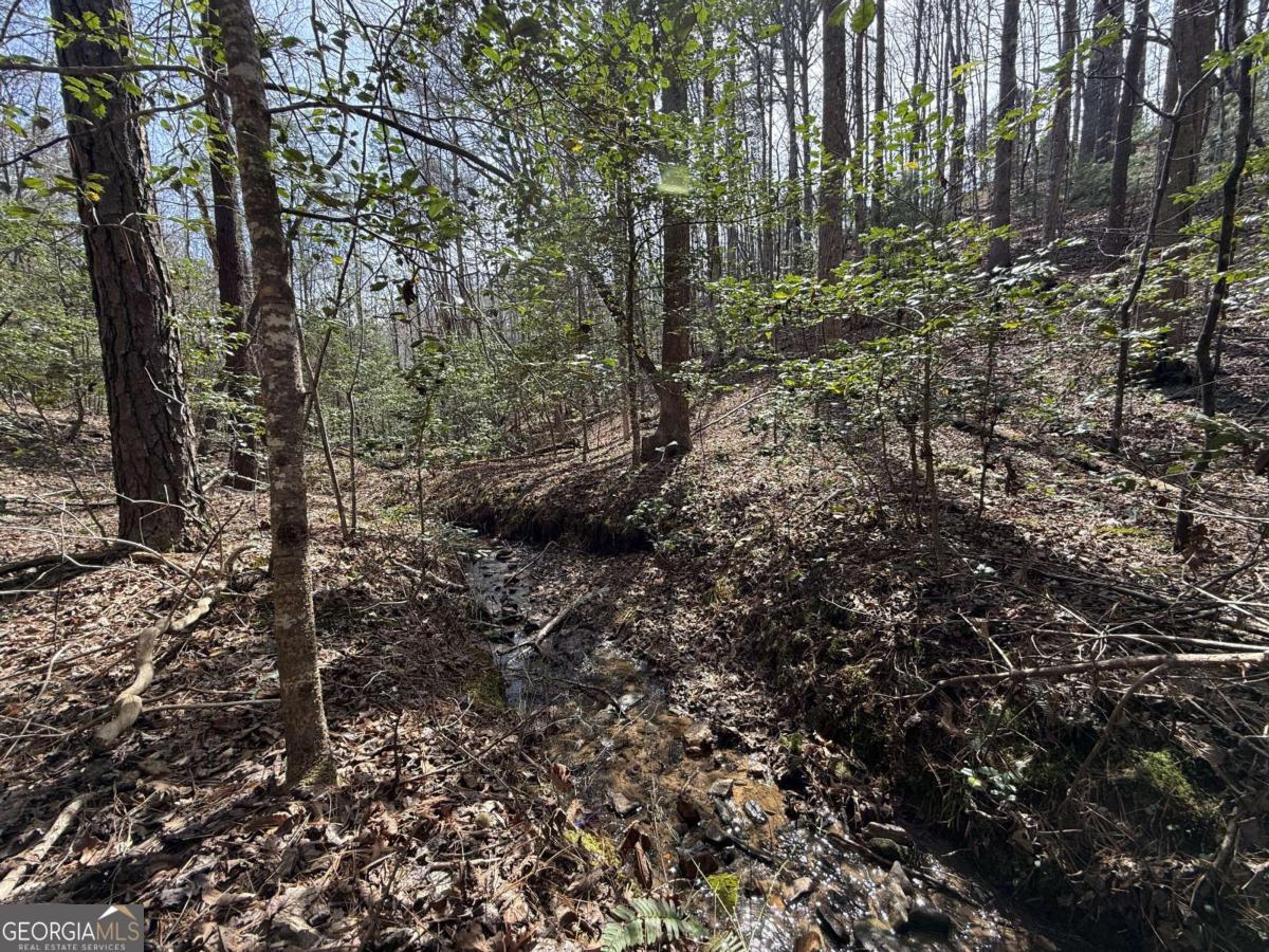 0 Bayou Drive Property Photo 6