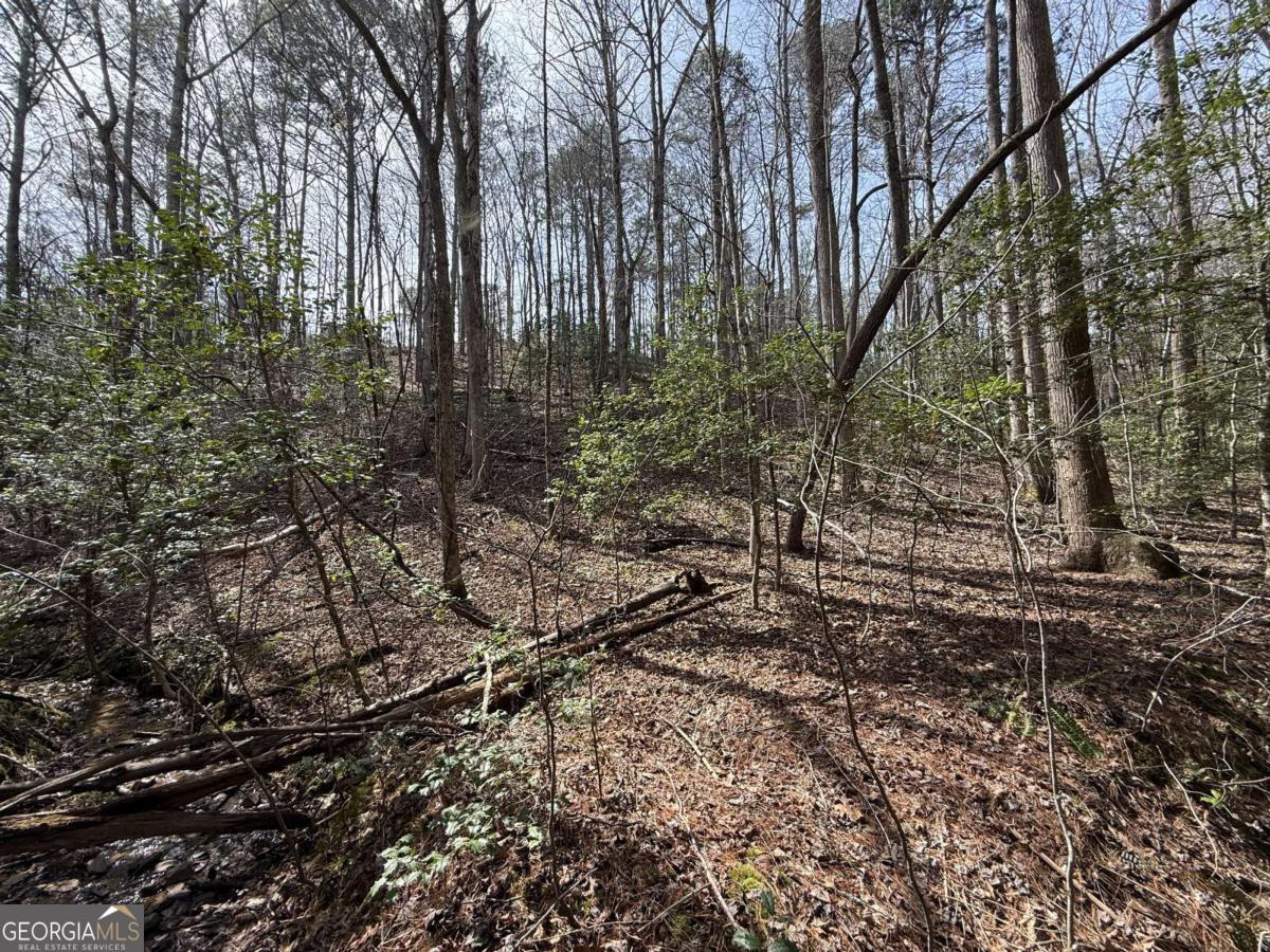 0 Bayou Drive Property Photo 7