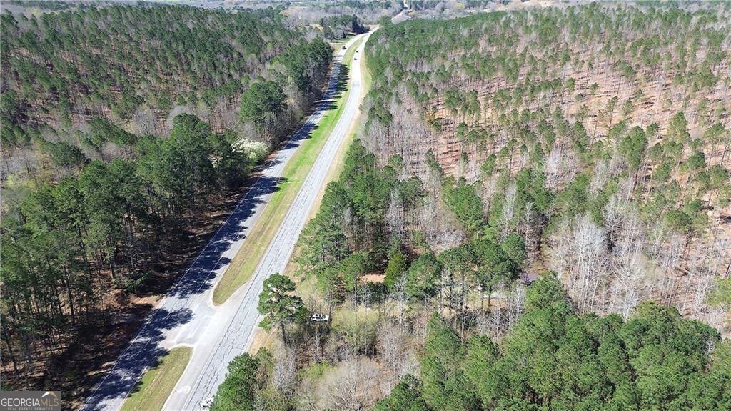 0 Alabama Highway Property Photo 2