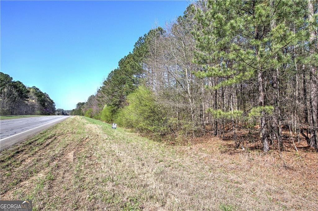 0 Alabama Highway Property Photo 3