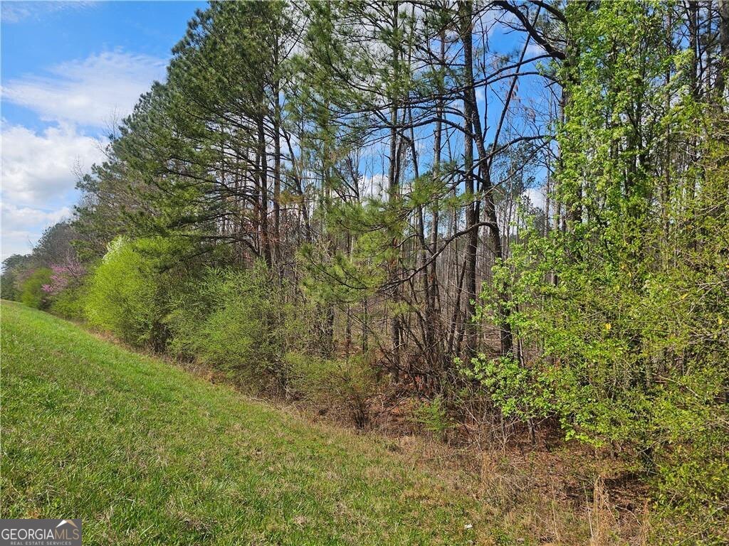 0 Alabama Highway Property Photo 4