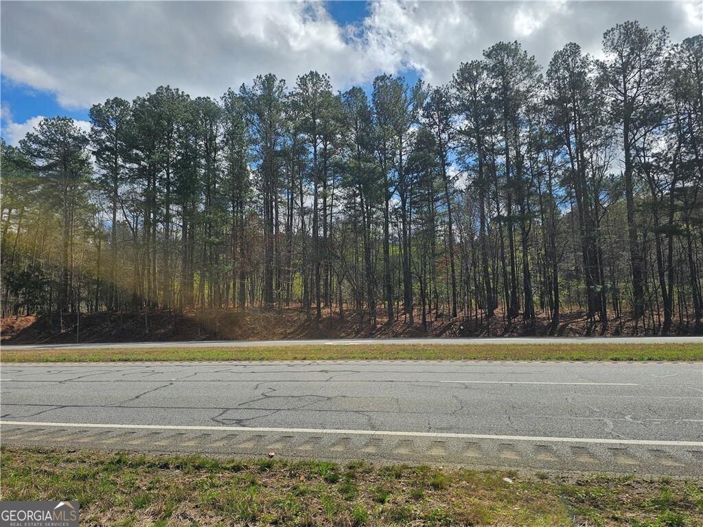 0 Alabama Highway Property Photo 7