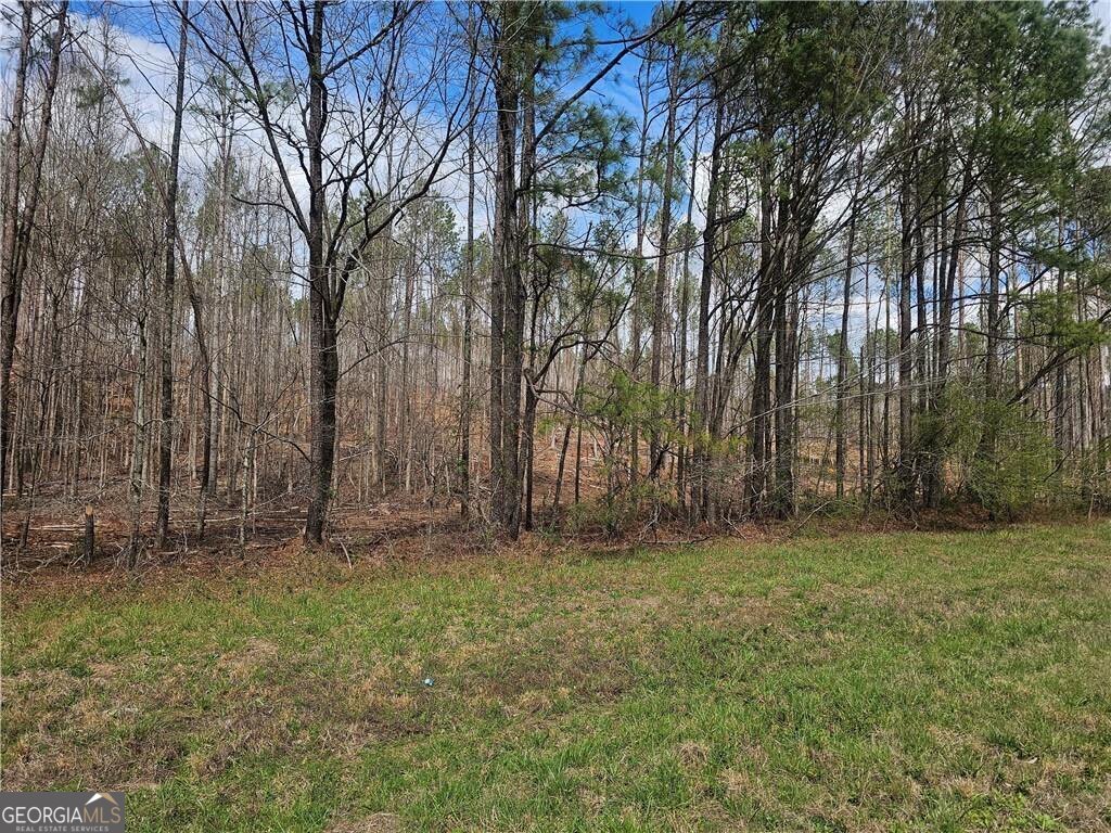 0 Alabama Highway Property Photo 11
