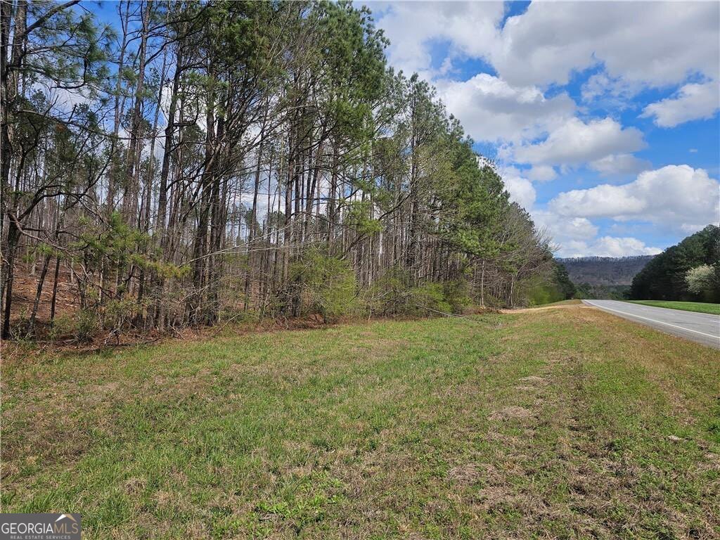 0 Alabama Highway Property Photo 12