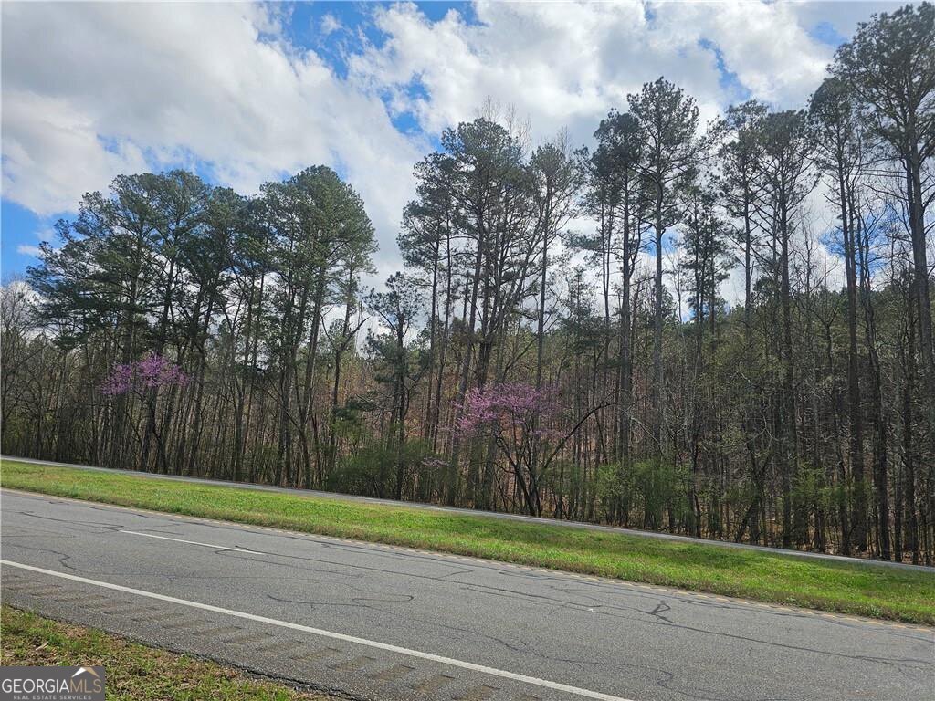 0 Alabama Highway Property Photo 13