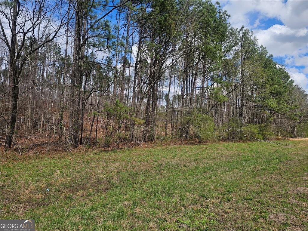 0 Alabama Highway Property Photo 14