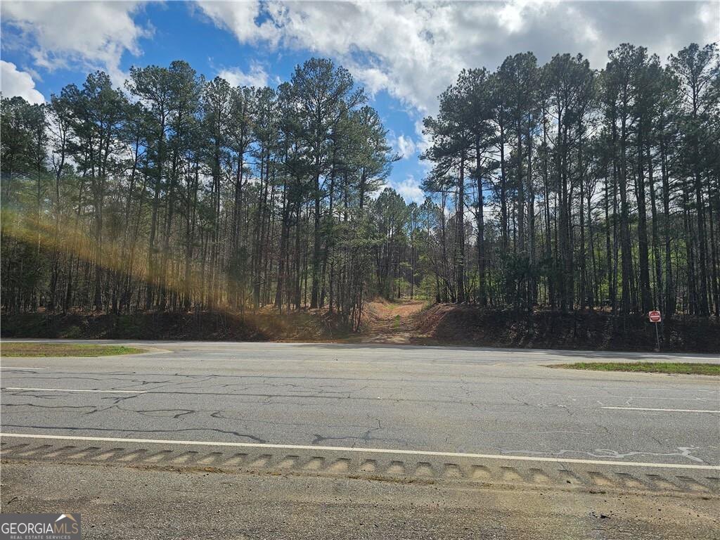 0 Alabama Highway Property Photo 17