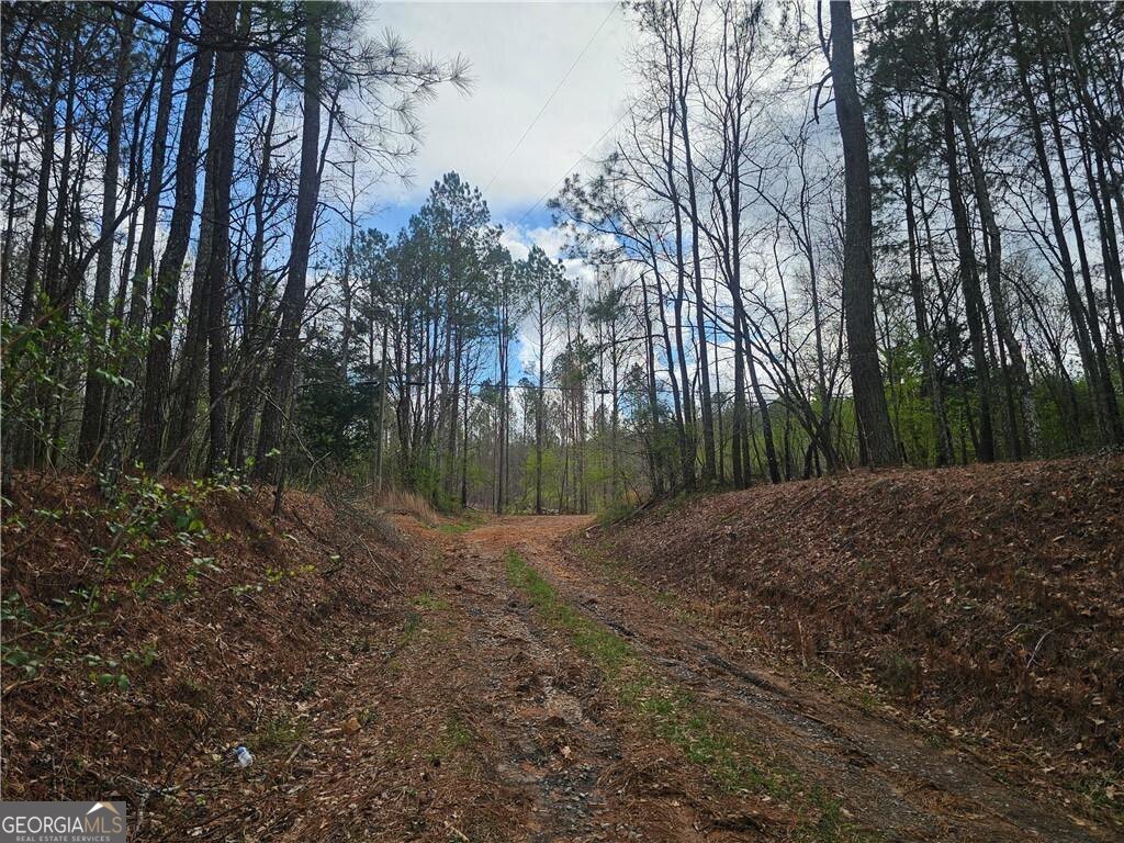 0 Alabama Highway Property Photo 19