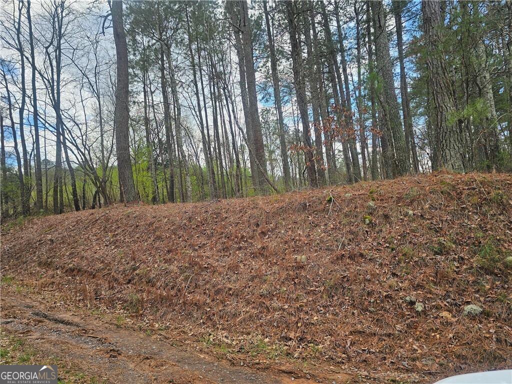 0 Alabama Highway Property Photo 20