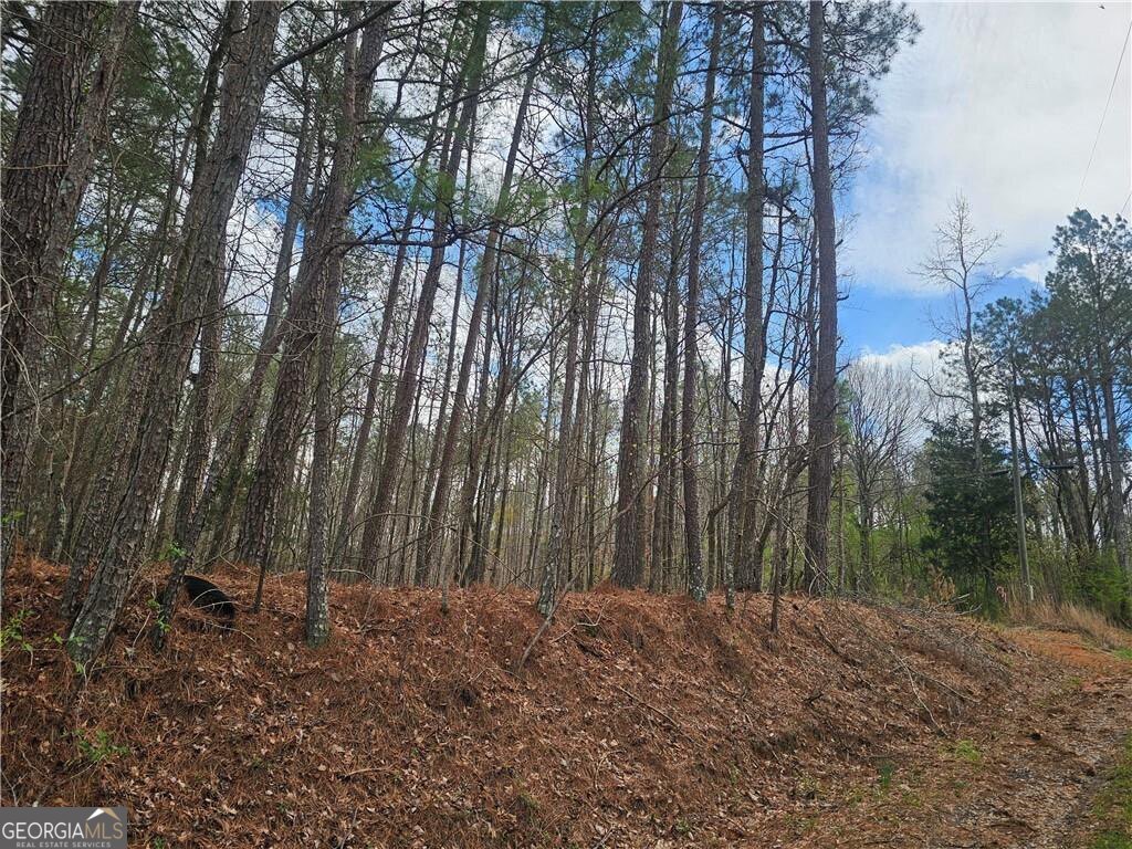 0 Alabama Highway Property Photo 22