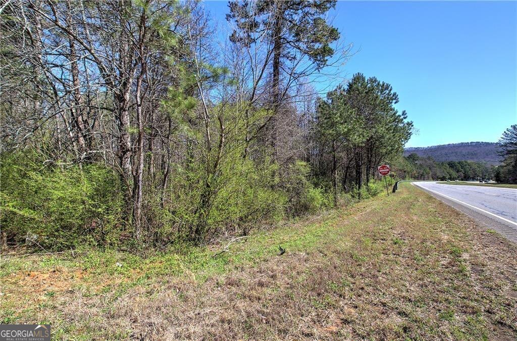 0 Alabama Highway Property Photo 26