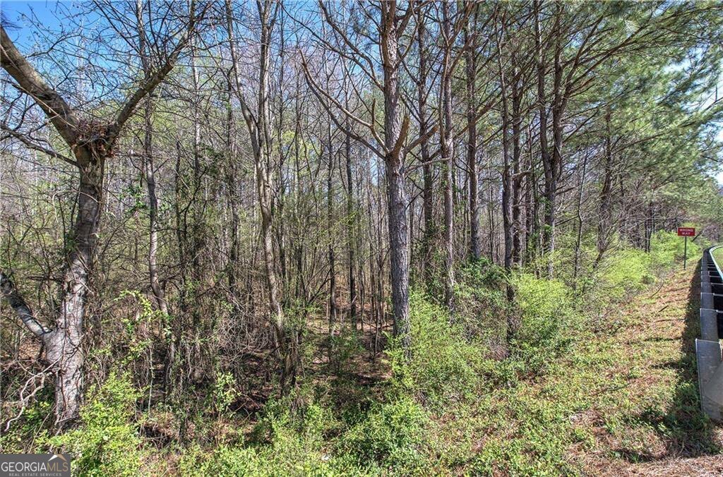 0 Alabama Highway Property Photo 27