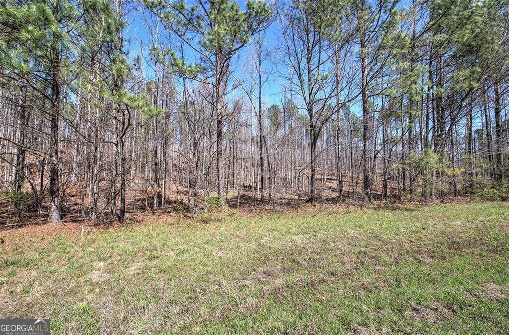 0 Alabama Highway Property Photo 29